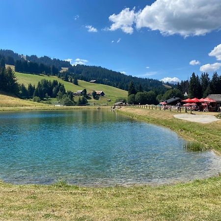 Chaleureux Appartement Renove Ambiance Chalet Praz-sur-Arly Bagian luar foto