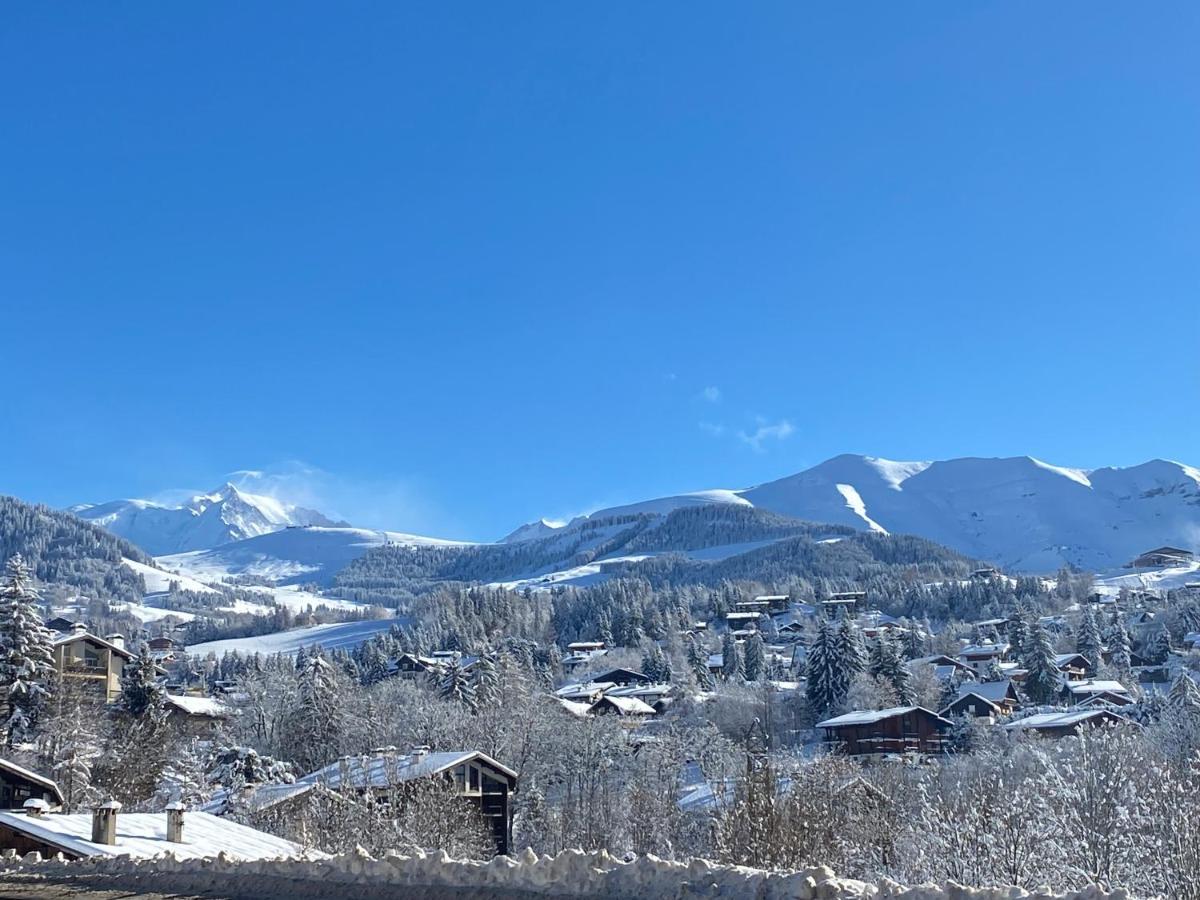 Chaleureux Appartement Renove Ambiance Chalet Praz-sur-Arly Bagian luar foto