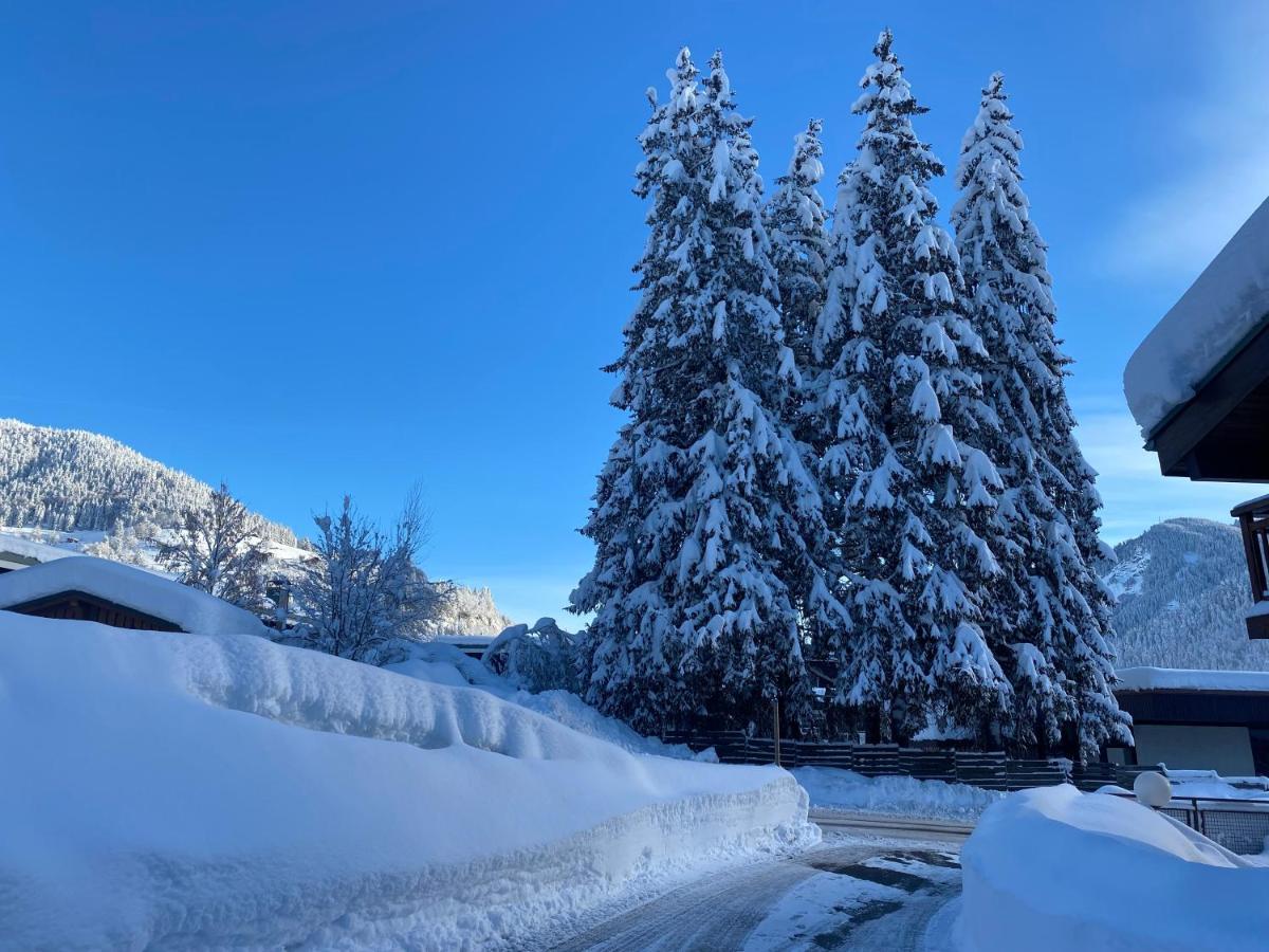 Chaleureux Appartement Renove Ambiance Chalet Praz-sur-Arly Bagian luar foto