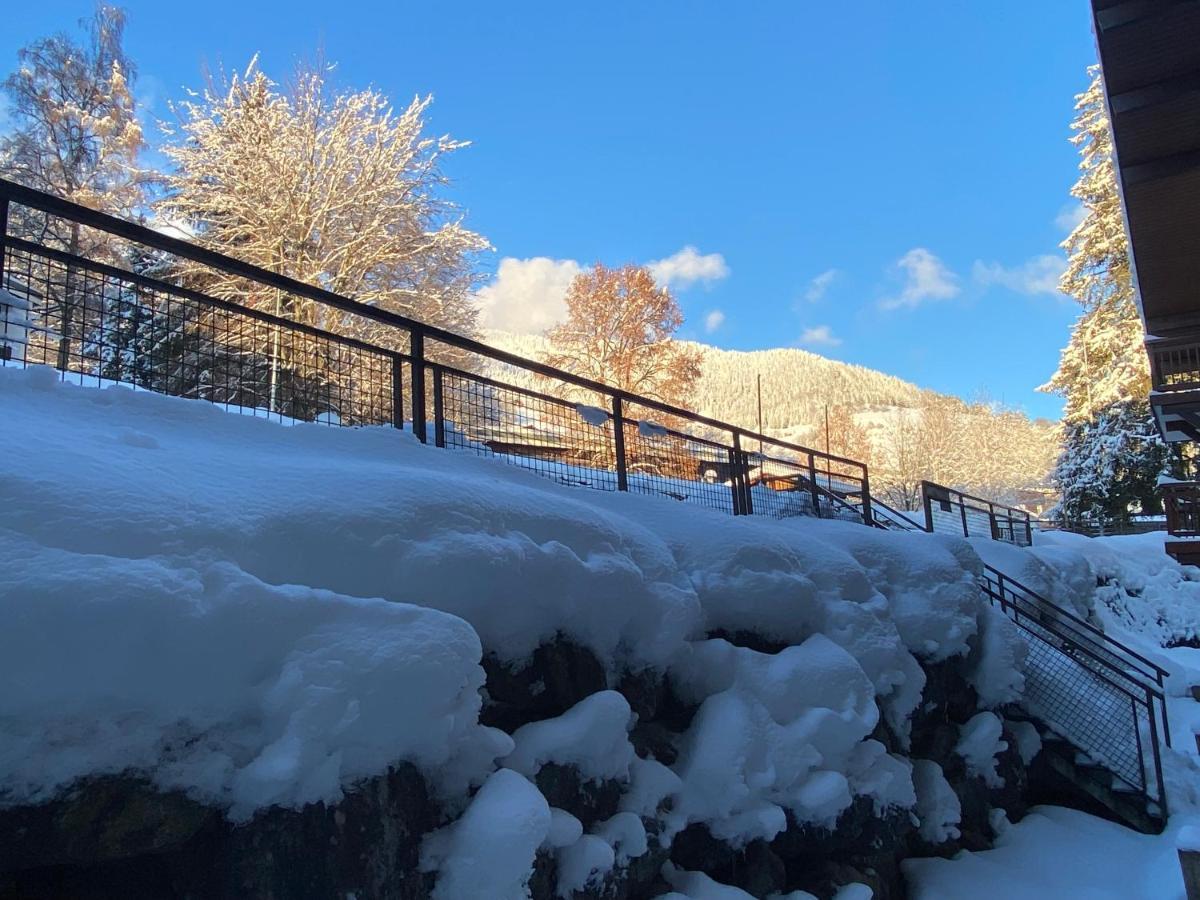 Chaleureux Appartement Renove Ambiance Chalet Praz-sur-Arly Bagian luar foto