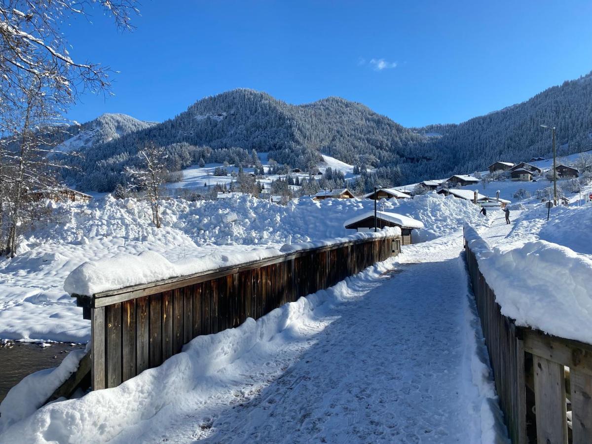 Chaleureux Appartement Renove Ambiance Chalet Praz-sur-Arly Bagian luar foto