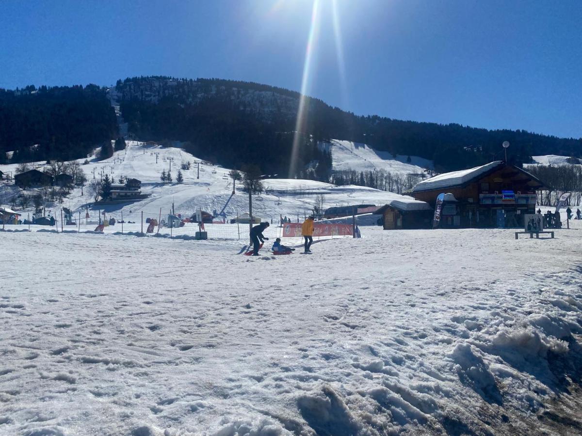 Chaleureux Appartement Renove Ambiance Chalet Praz-sur-Arly Bagian luar foto