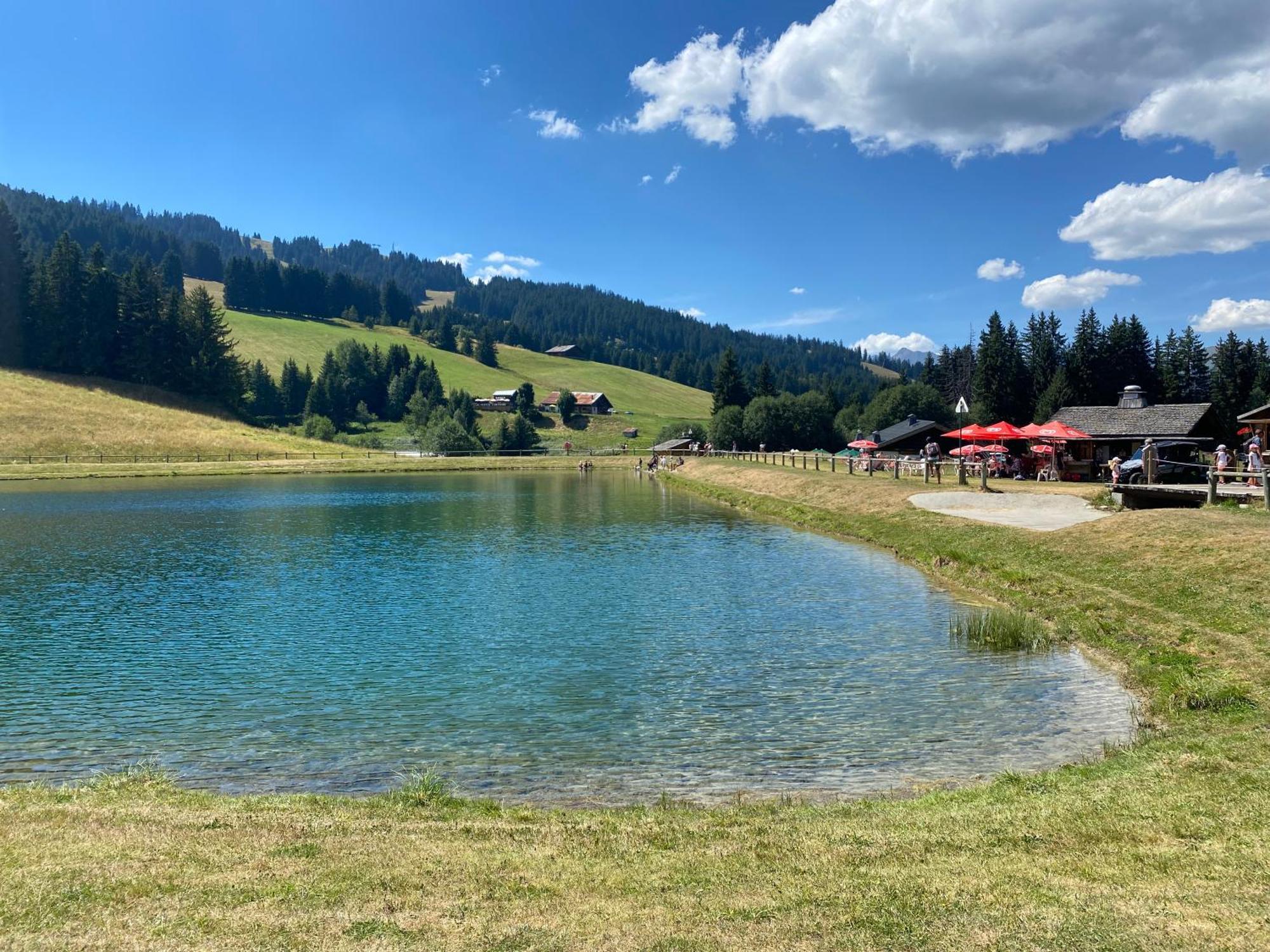 Chaleureux Appartement Renove Ambiance Chalet Praz-sur-Arly Bagian luar foto